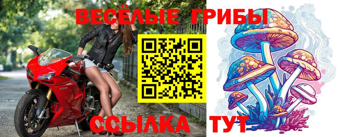 A PVP Осинники